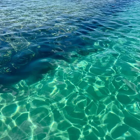 Panoramica 5 * Torre Pali