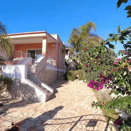 Panoramica 5 Torre Pali